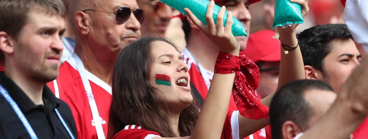 Soccer fans at Portugal Morocco match