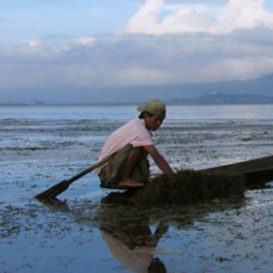 canoe welcome